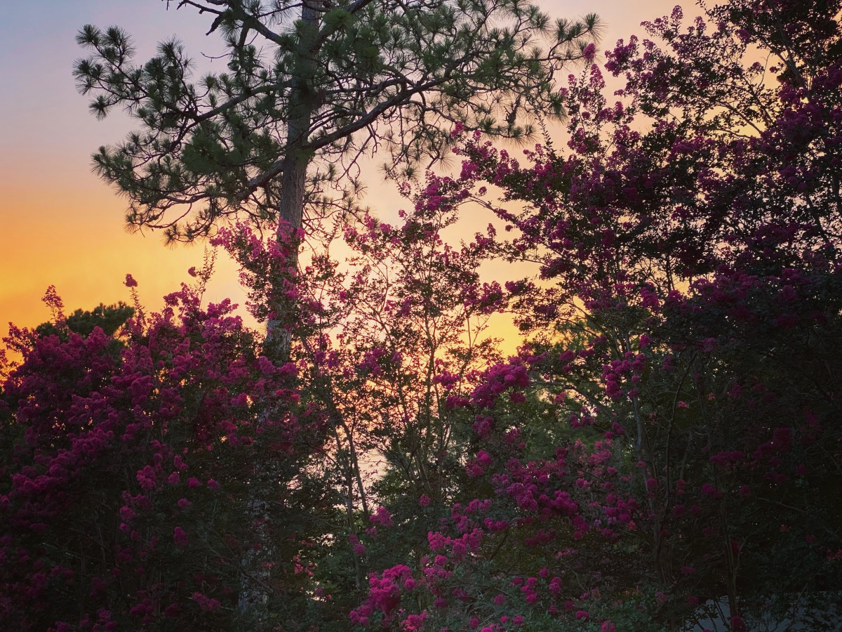 Solstice (21 July&nbsp;2022)