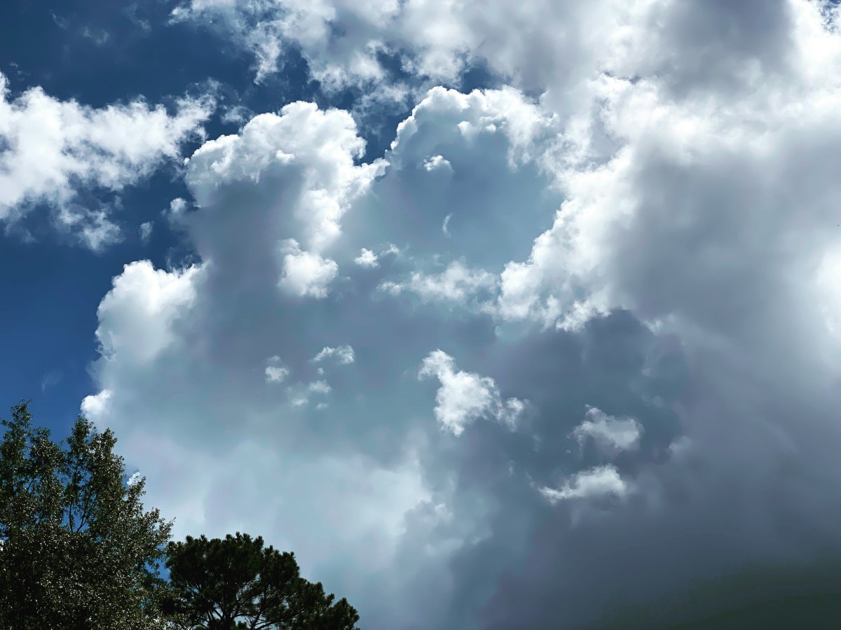 Thunderstorms (early August&nbsp;2022)