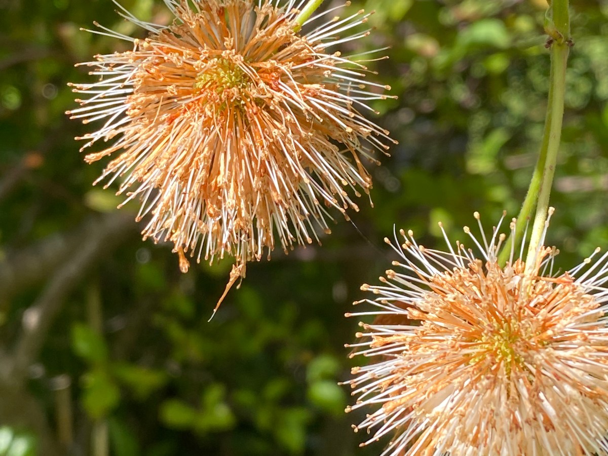 Eco-somatics (August 2022)